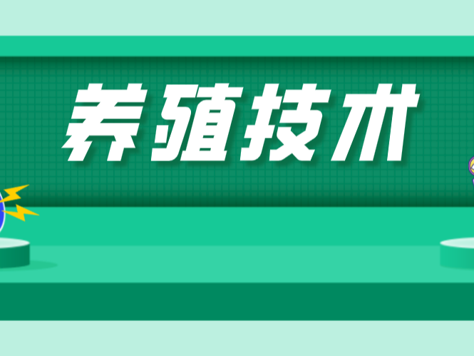 如何給“紅”臉的池塘和“花”臉的池塘做美容？