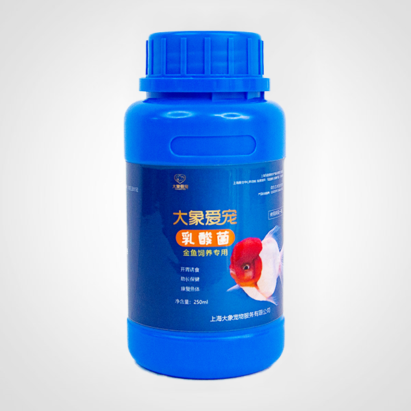 金魚(yú)-乳酸菌（250ml）